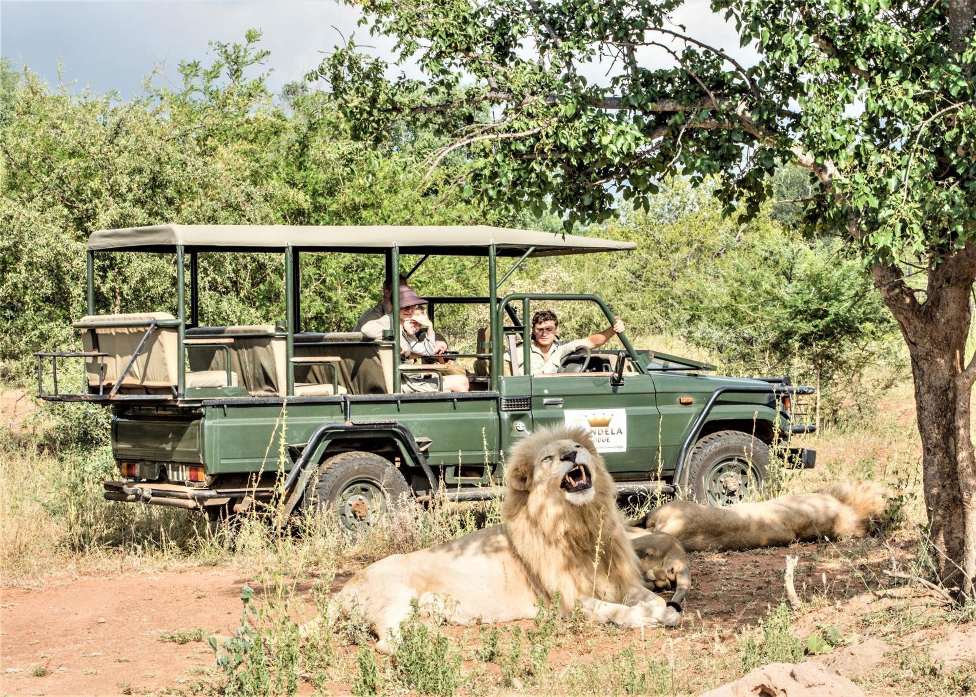 Elandela Private Game Reserve And Luxury Lodges Pty Ltd Hoedspruit Luaran gambar